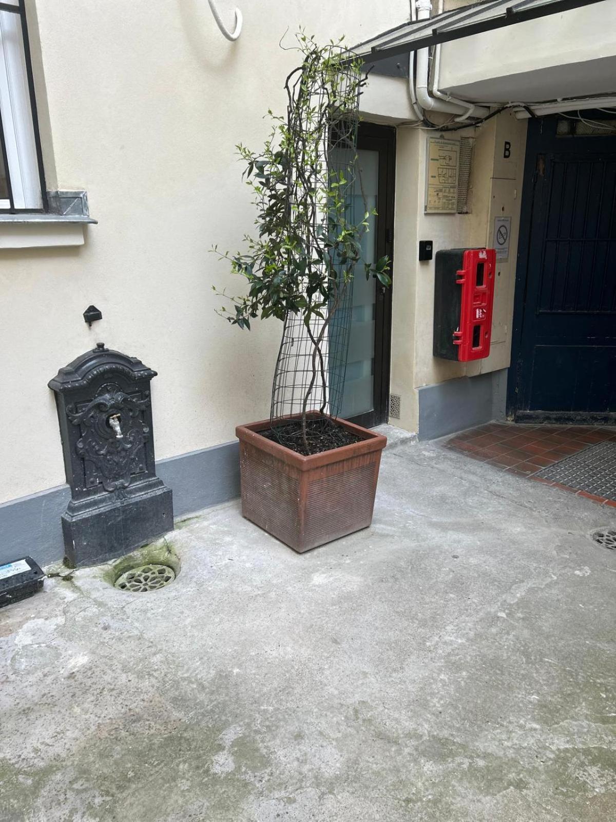 Joli Studio Rue De Nazareth Paris Eksteriør billede